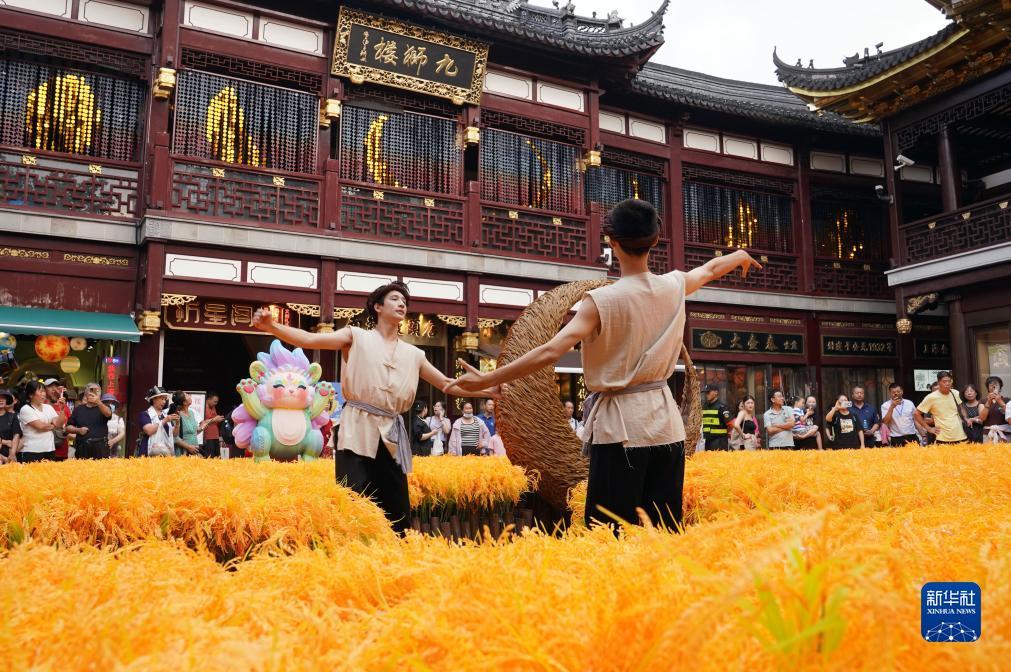 真人白家乐庄闲下载